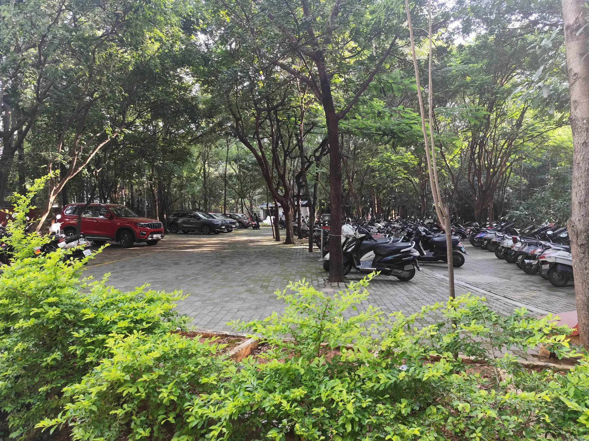 NLSIU Campus photo 2